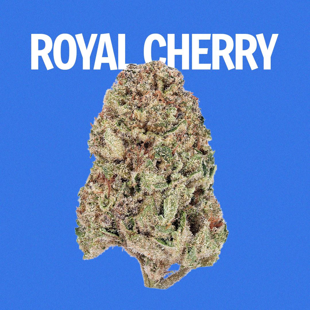 Royal Cherry