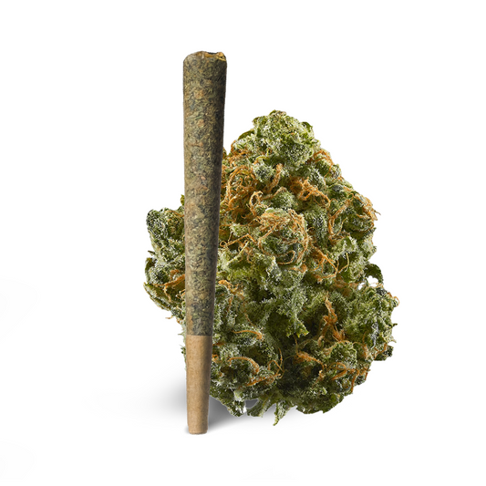 Blue Dream Pre-Roll 1 Gram