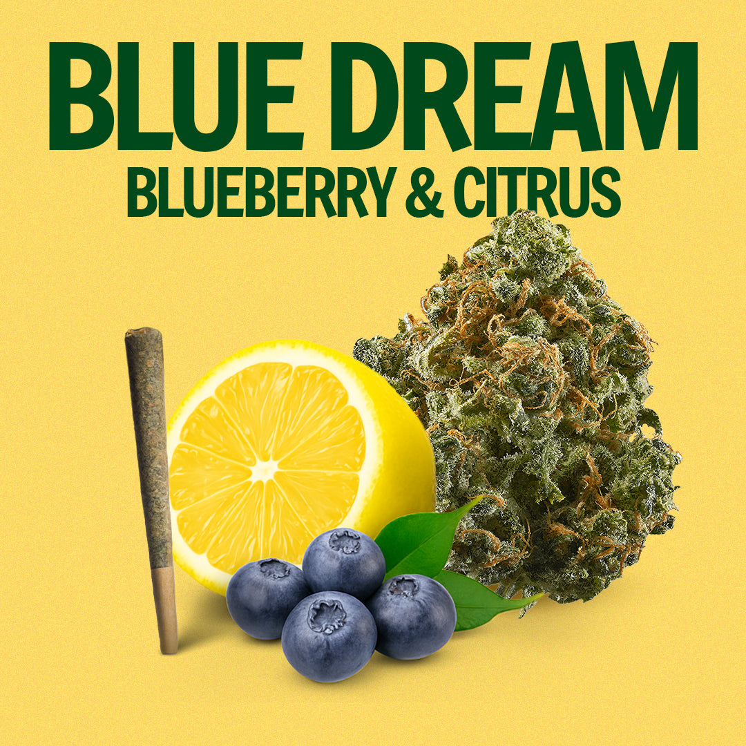 Blue Dream Pre-Roll 1 Gram