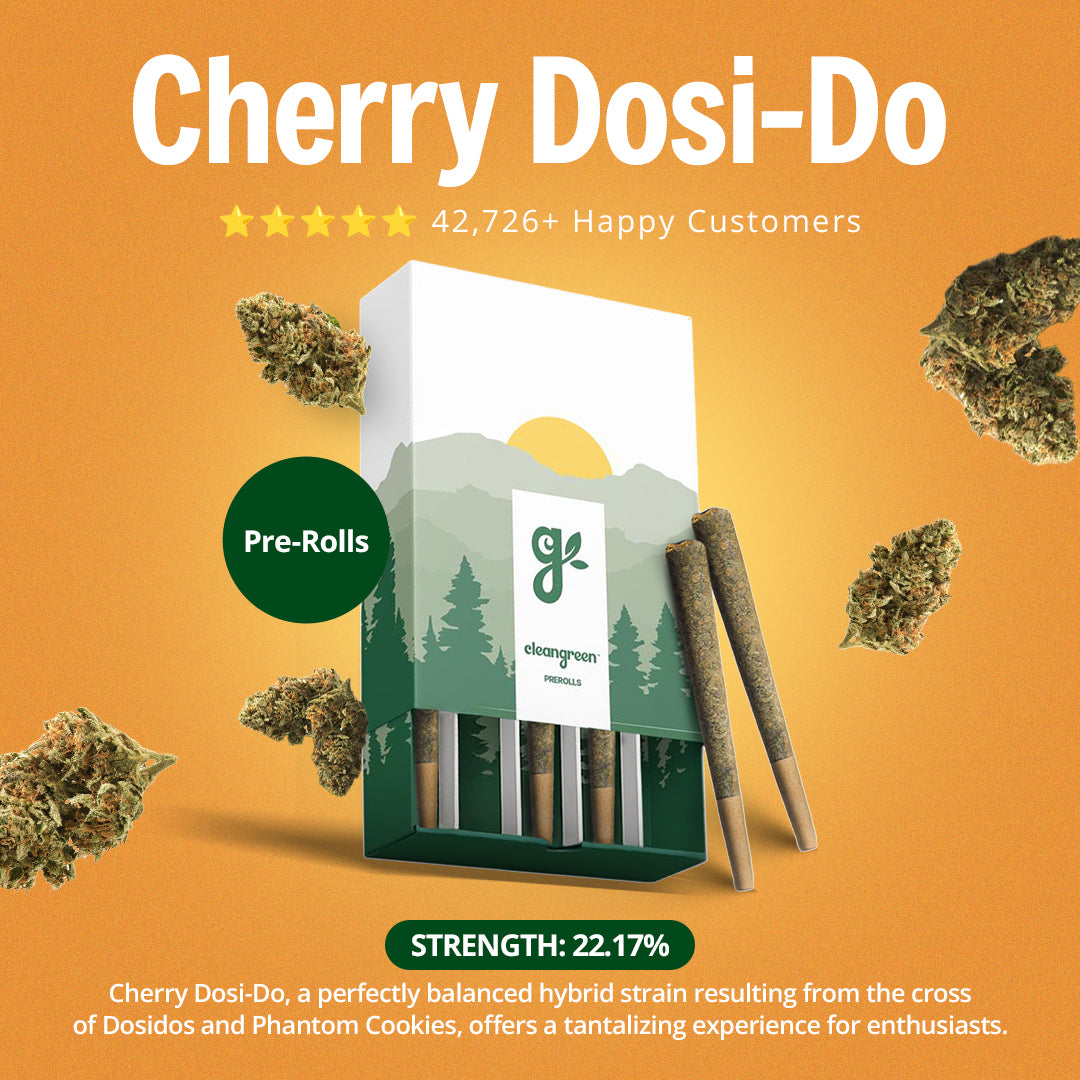 The Pre Roll Party Pack