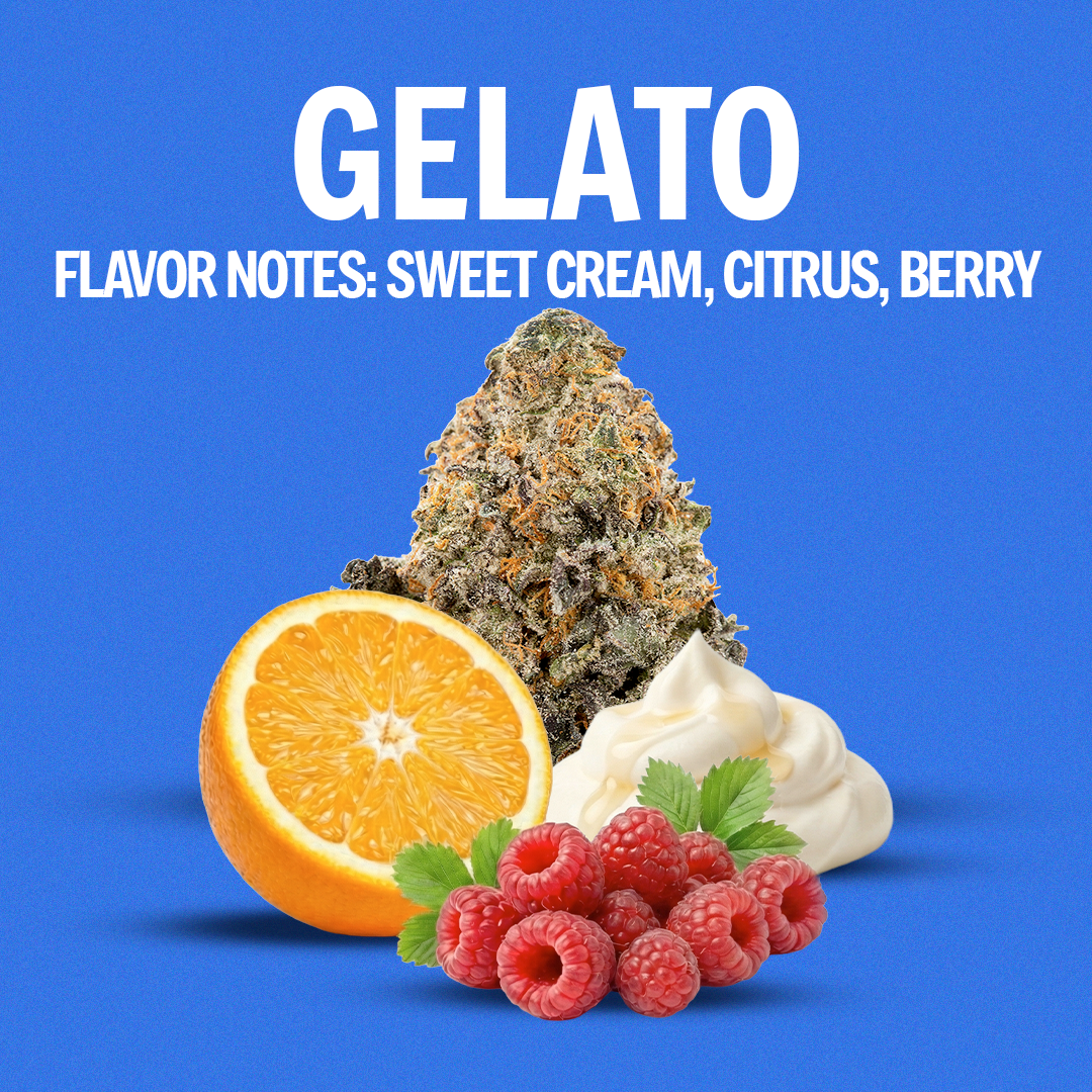 Gelato