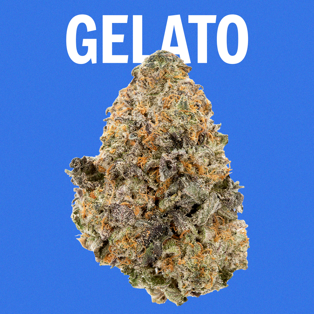Gelato