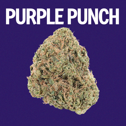 Purple Punch