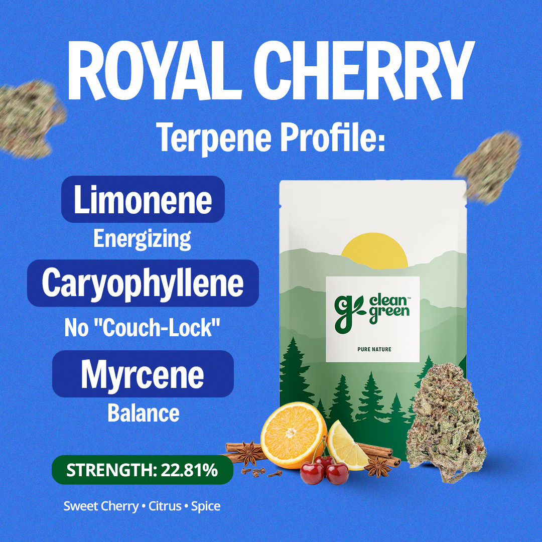 Royal Cherry