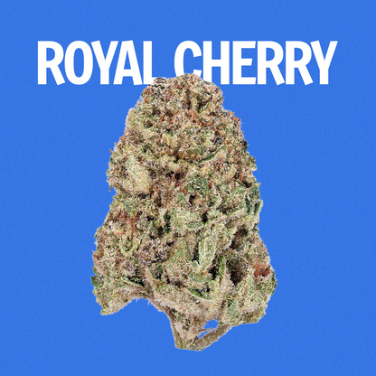 Royal Cherry