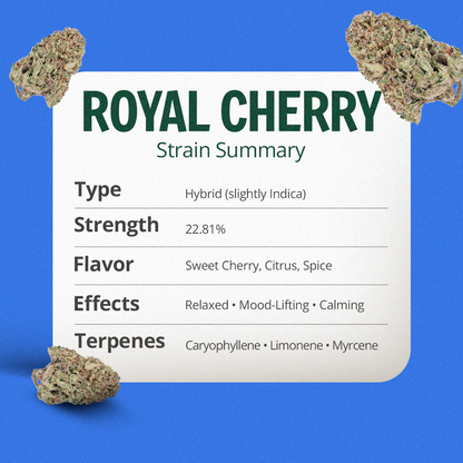 Royal Cherry