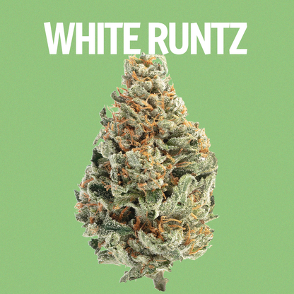 White Runtz