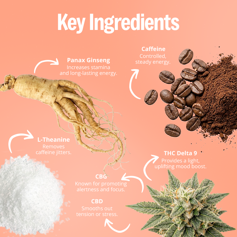 Deep Sleep + Morning Energy Gummies Bundle