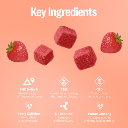 Deep Sleep + Morning Energy Gummies Bundle