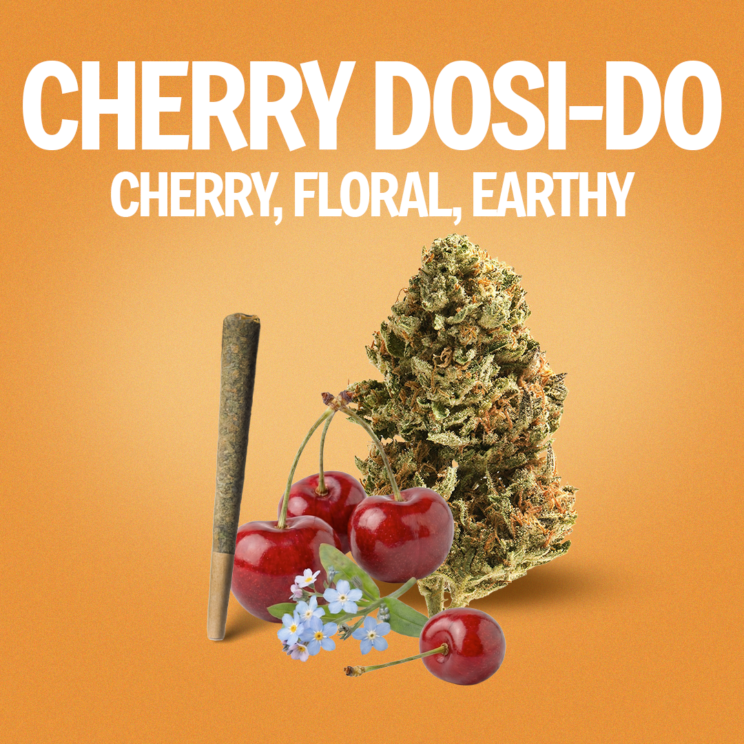 Cherry Dosi-Do Pre-Roll 1 Gram