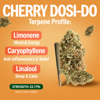 Cherry Dosi-Do Pre-Roll 1 Gram