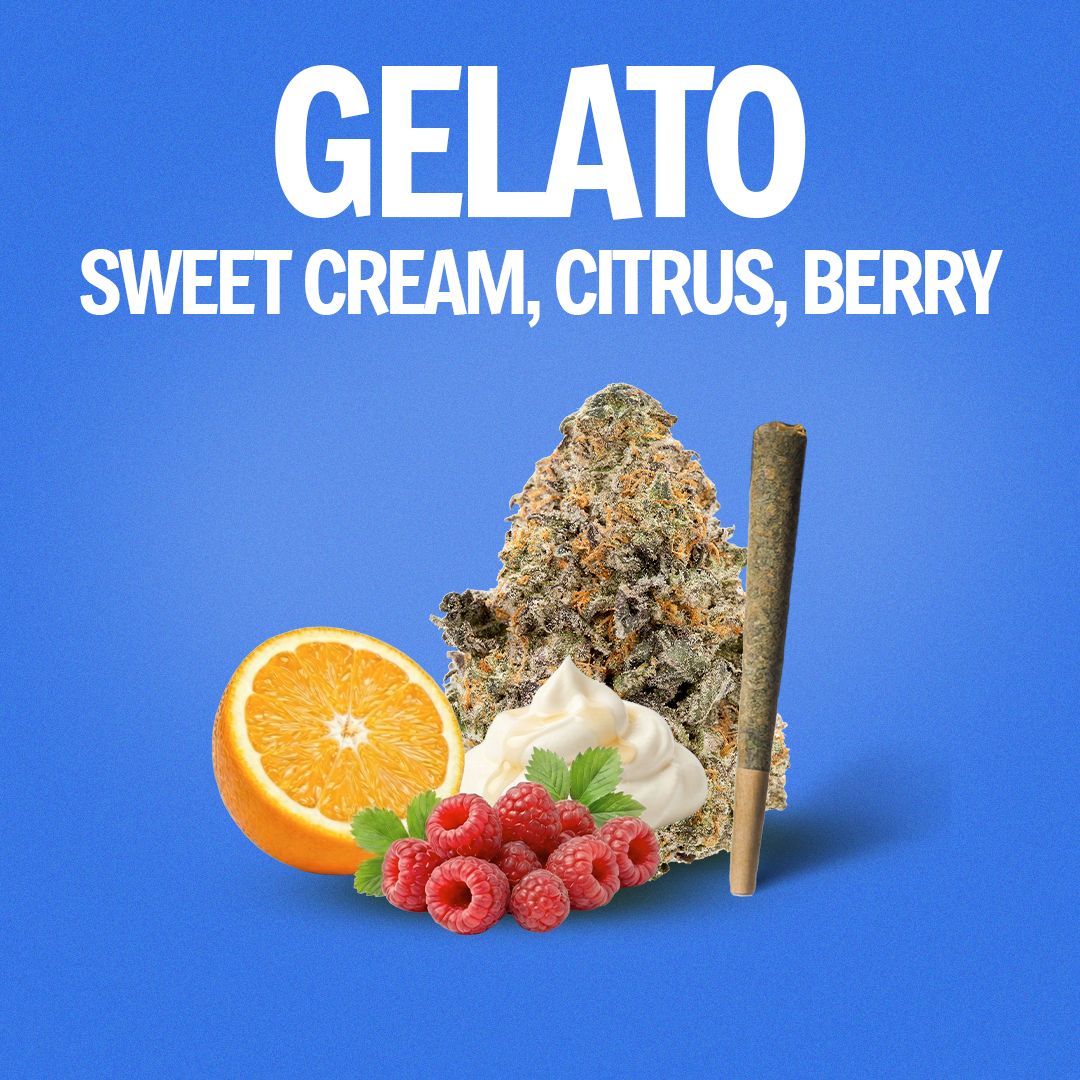 Gelato Pre-Roll 1 Gram