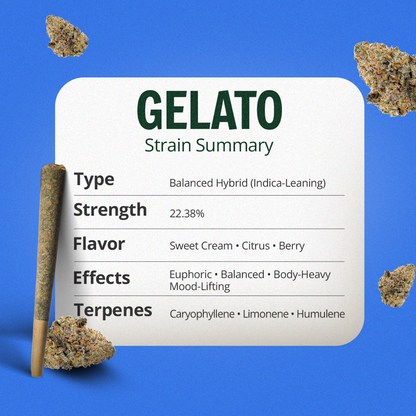 Gelato Pre-Roll 1 Gram