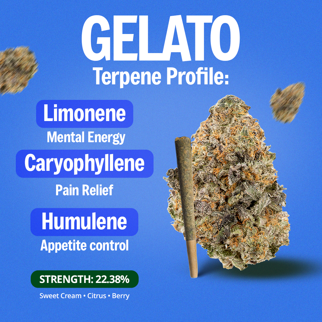 Gelato Pre-Roll 1 Gram