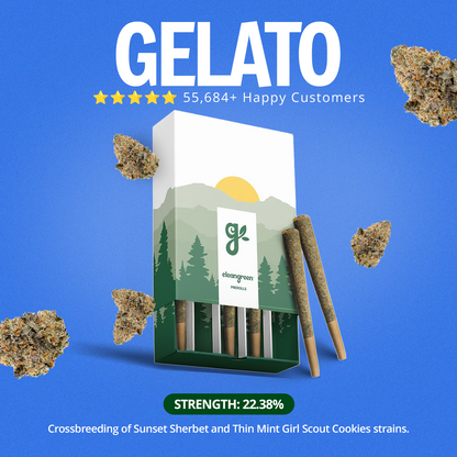 Gelato Pre-Roll 1 Gram