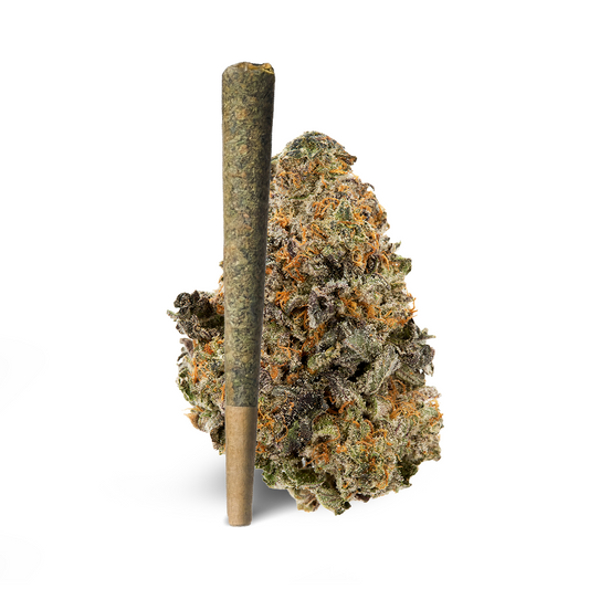 Gelato Pre-Roll 1 Gram