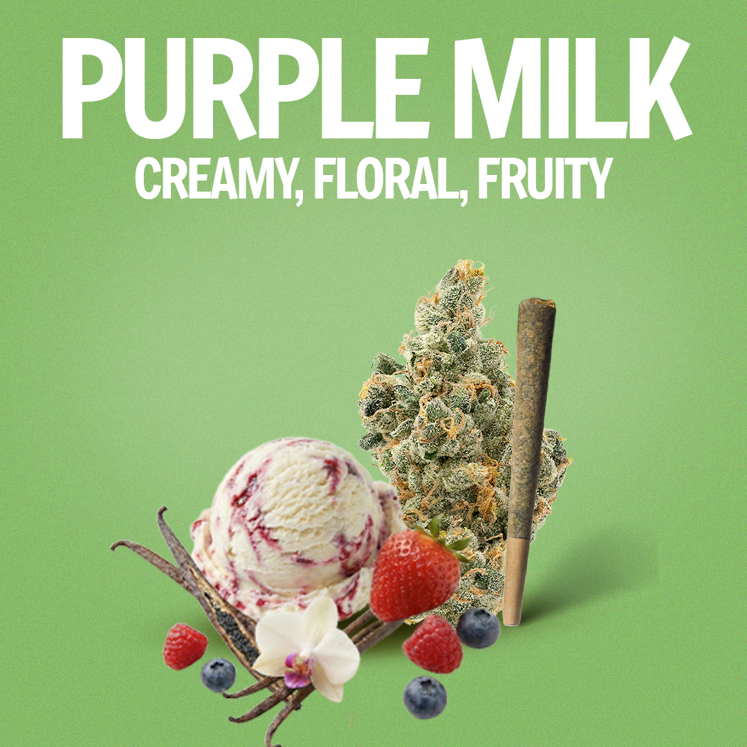 Purple Milk Pre-Roll 1 Gram