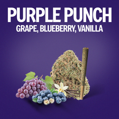 Purple Punch Pre-Roll 1 Gram