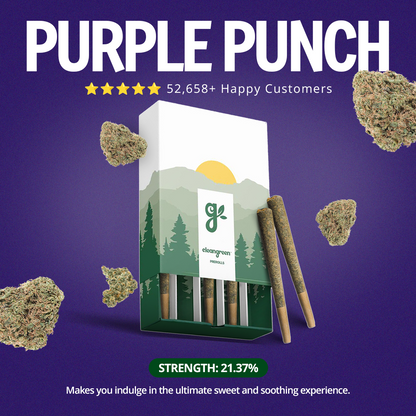 Purple Punch Pre-Roll 1 Gram