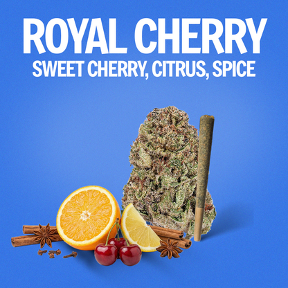 Royal Cherry Pre-Roll 1 Gram