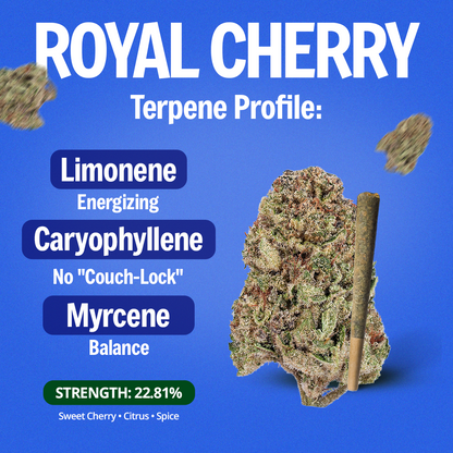 Royal Cherry Pre-Roll 1 Gram