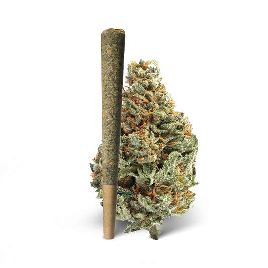 White Runtz Pre-Roll 1 Gram